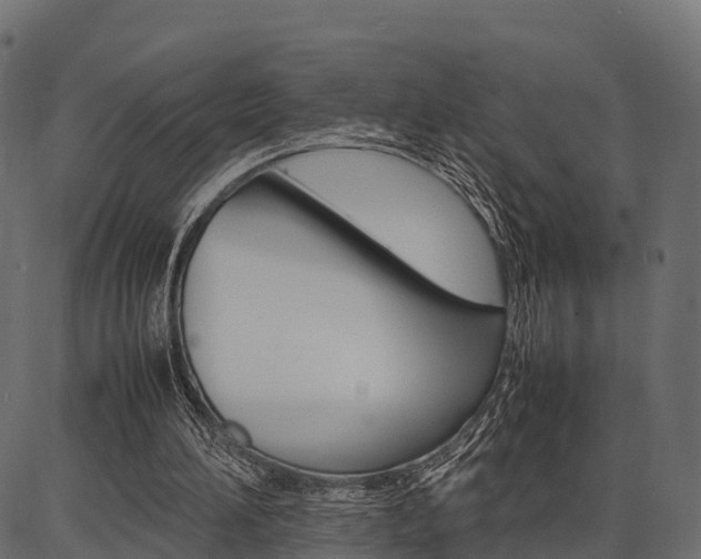 X0000086740196200704130741