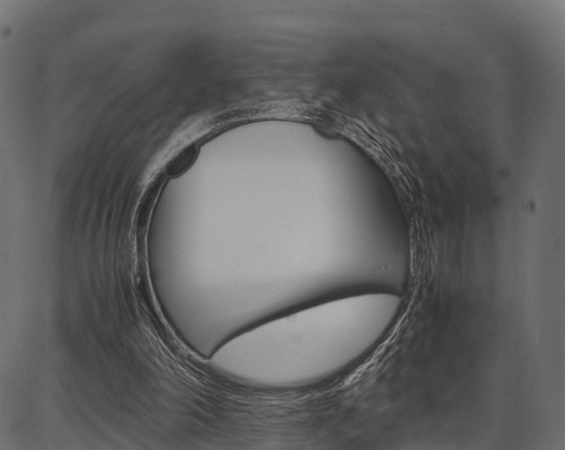 X0000086740198200704130741