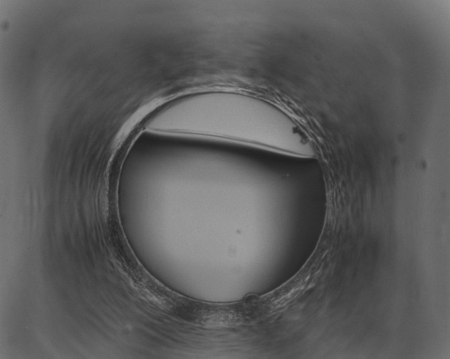 X0000086740200200704130741