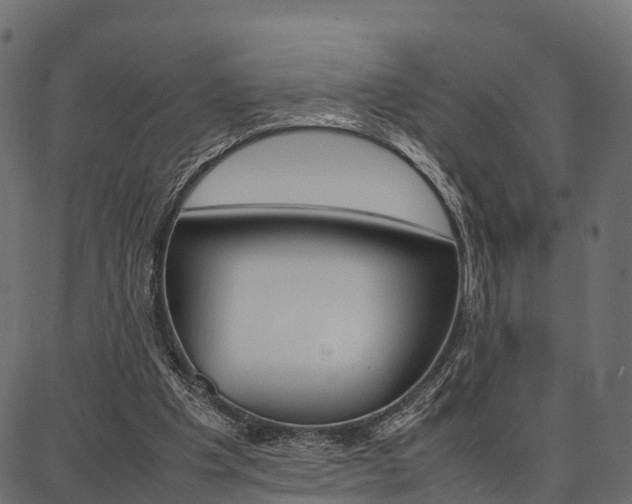 X0000086740201200704130741