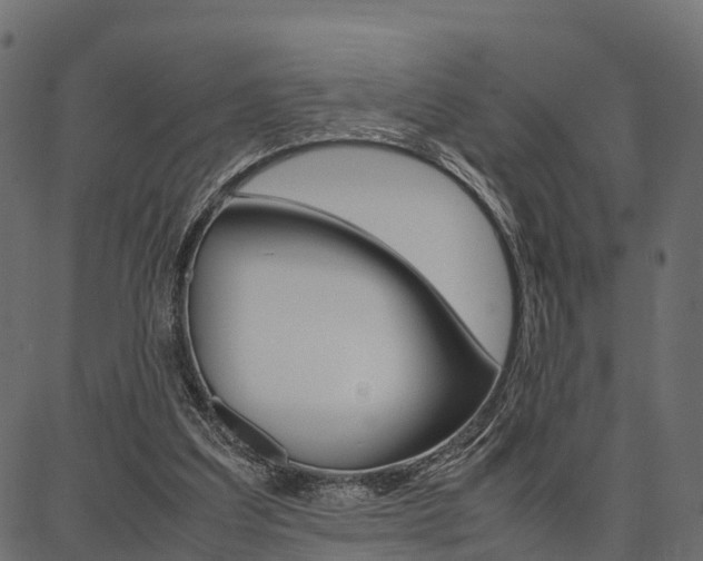 X0000086740203200704130741