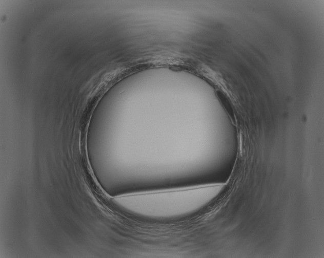X0000086740205200704130741