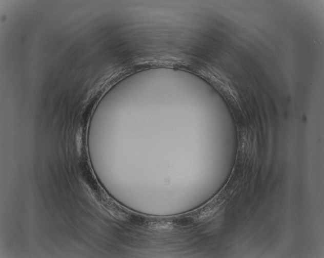 X0000086740206200704130741