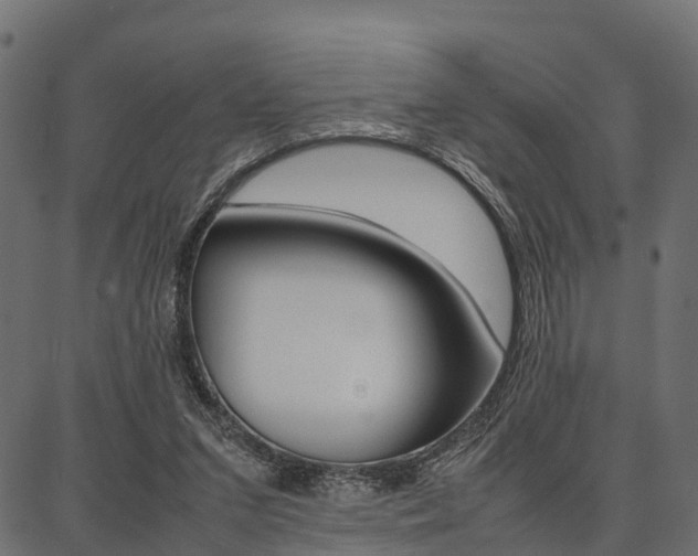 X0000086740207200704130741