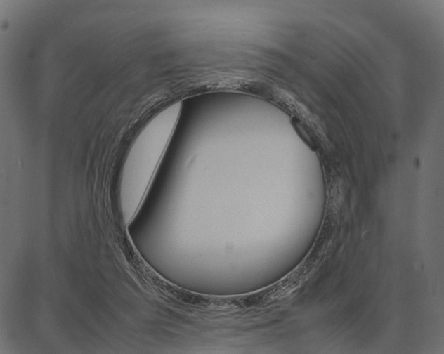 X0000086740209200704130741