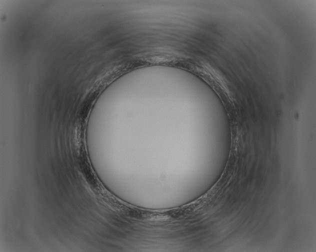 X0000086740210200704130741
