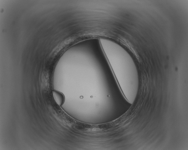 X0000086740212200704130741