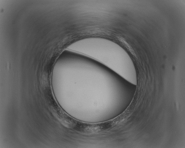 X0000086740213200704130741