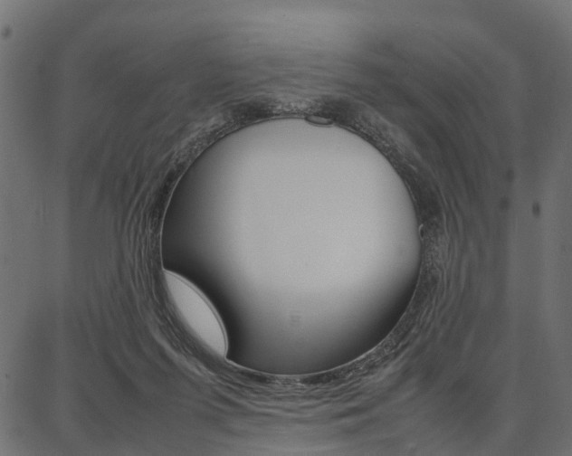 X0000086740215200704130741