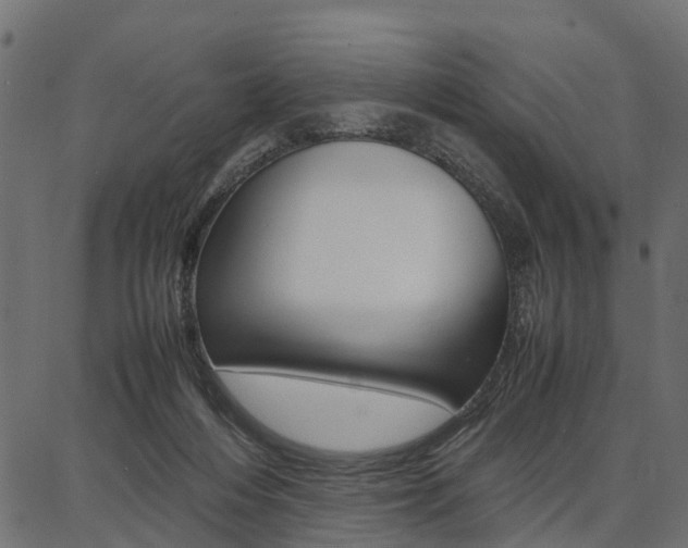 X0000086740216200704130741