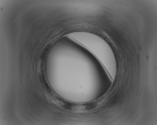 X0000086740217200704130741