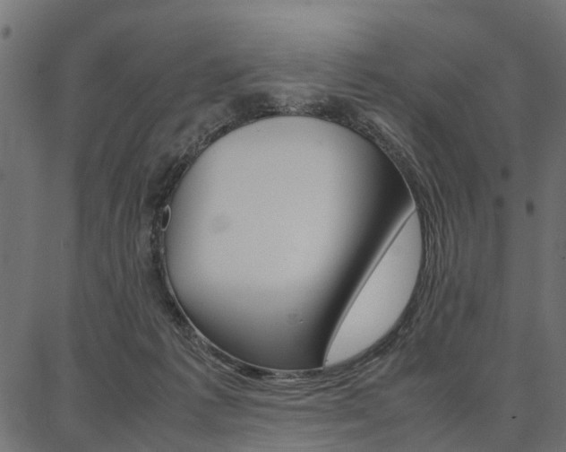 X0000086740221200704130741