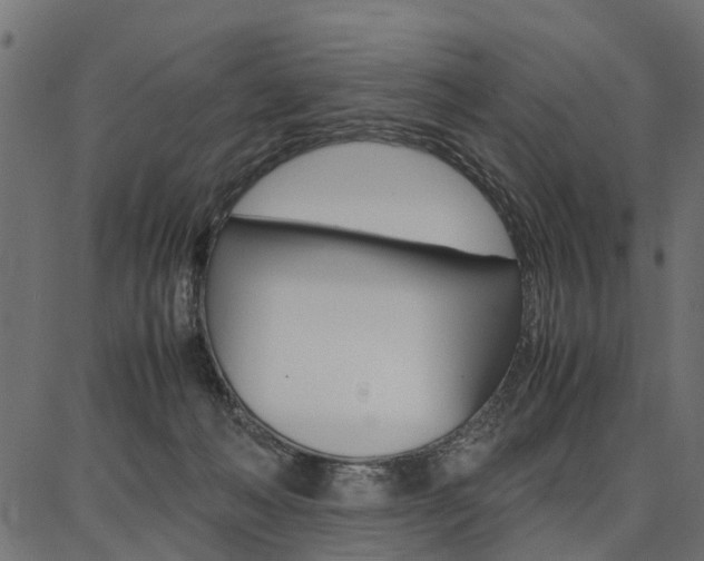 X0000086740222200704130741