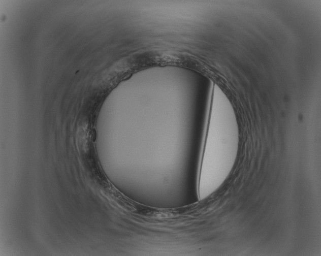 X0000086740223200704130741