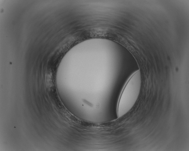 X0000086740224200704130741