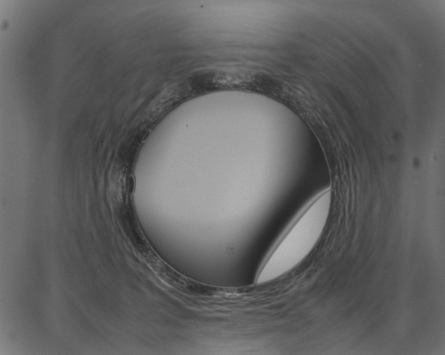 X0000086740227200704130741