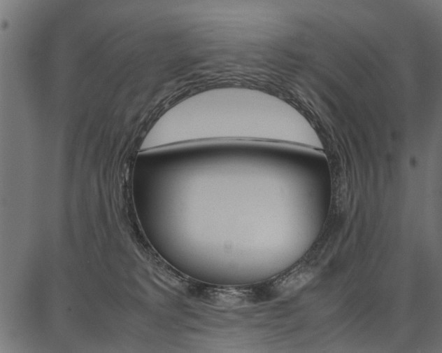 X0000086740229200704130741