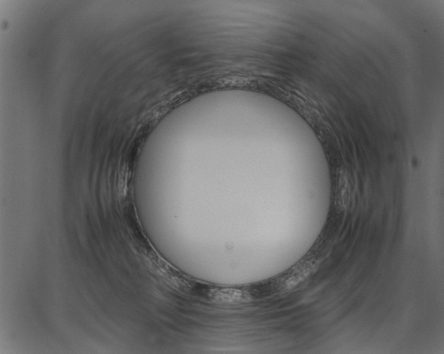 X0000086740230200704130741