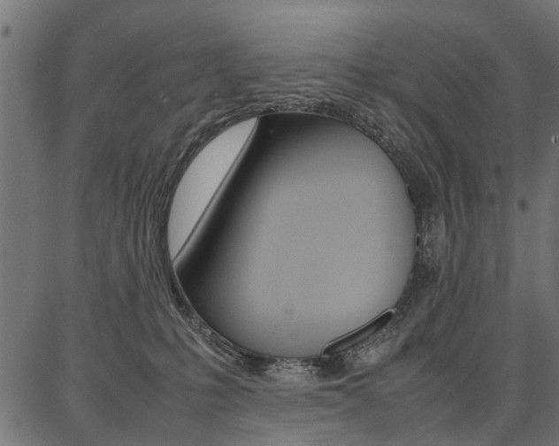 X0000086740231200704130741