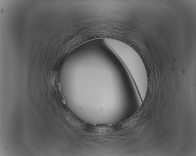 X0000086740233200704130740