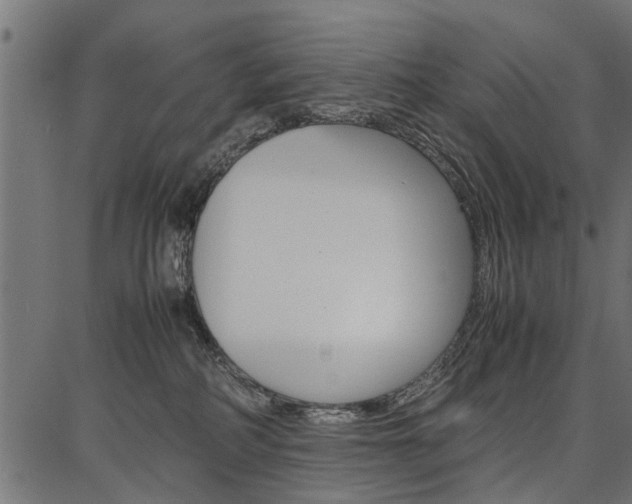 X0000086740234200704130740