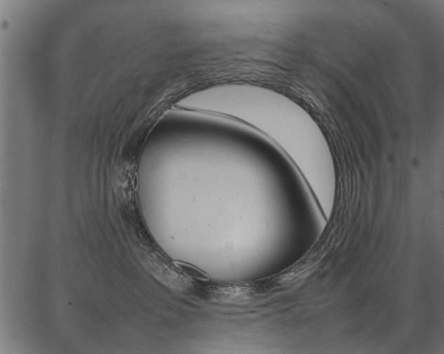 X0000086740237200704130740