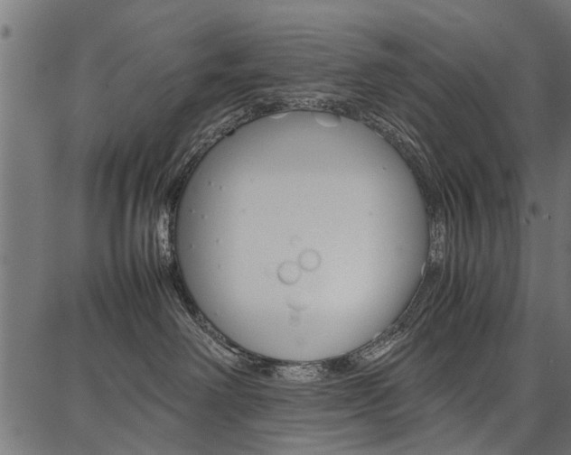 X0000086740238200704130740