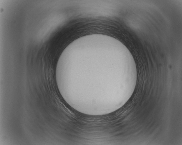 X0000086740239200704130740