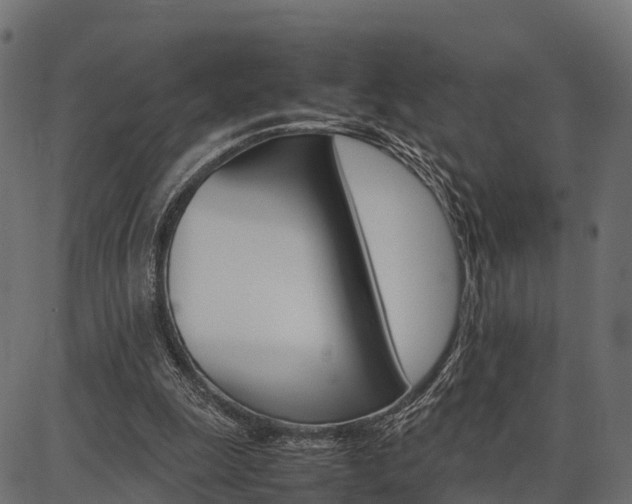 X0000086740247200704130740
