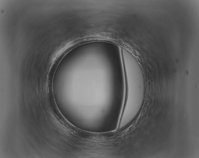 X0000086740248200704130740