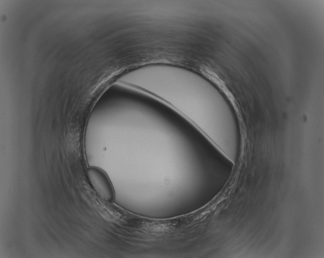 X0000086740249200704130740