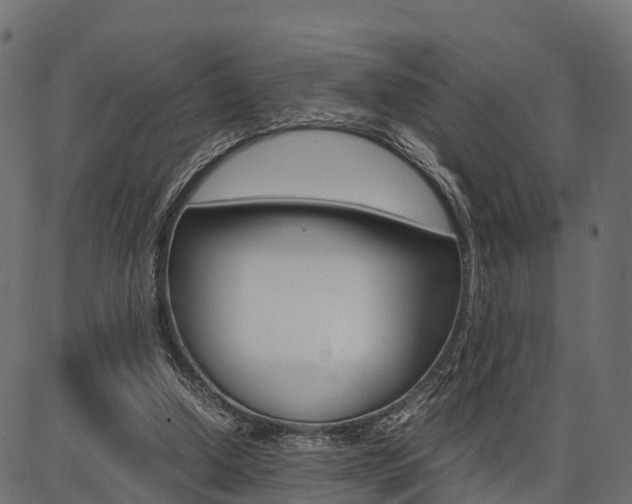 X0000086740250200704130740