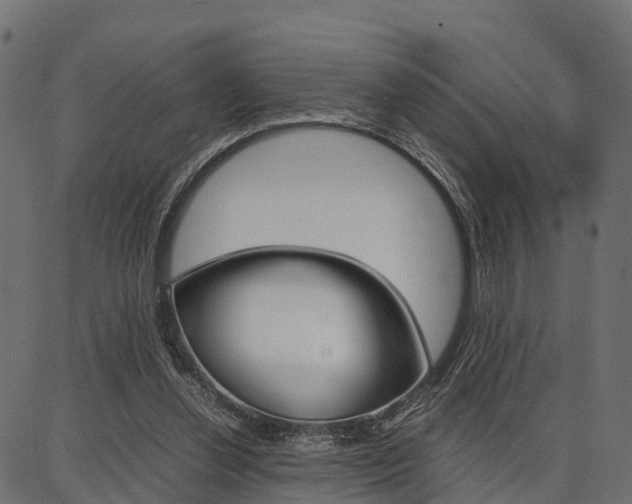X0000086740252200704130740
