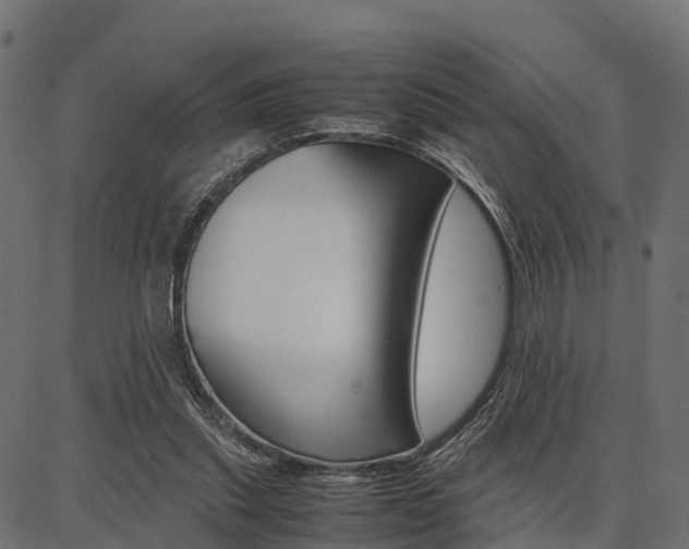 X0000086740253200704130740