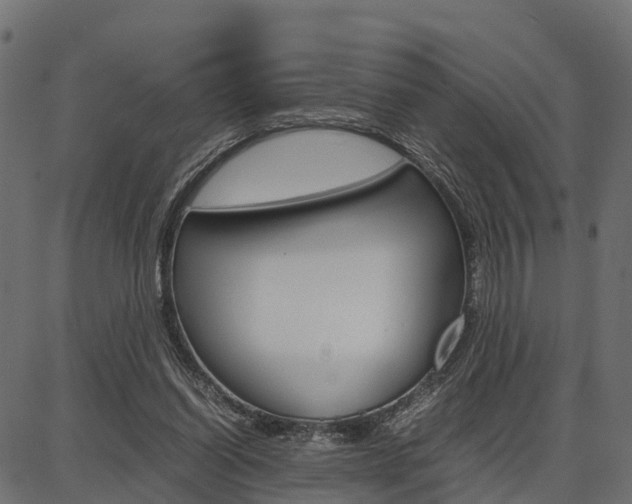 X0000086740254200704130740