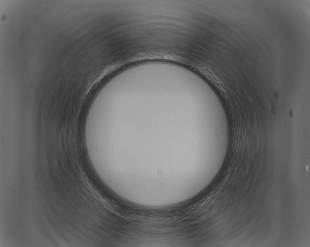 X0000086740256200704130740