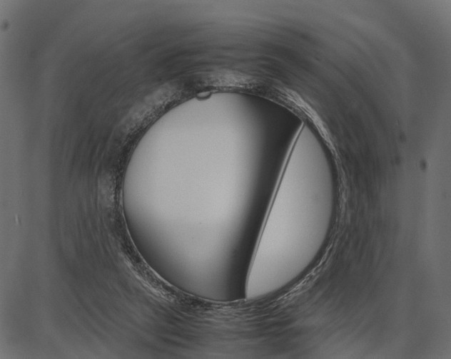 X0000086740257200704130740