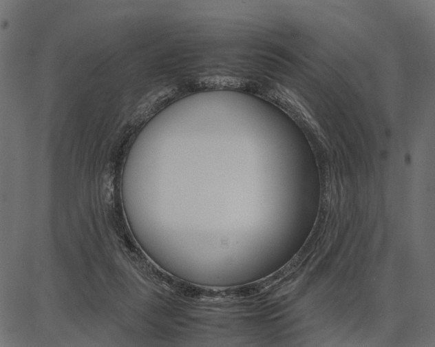 X0000086740259200704130740