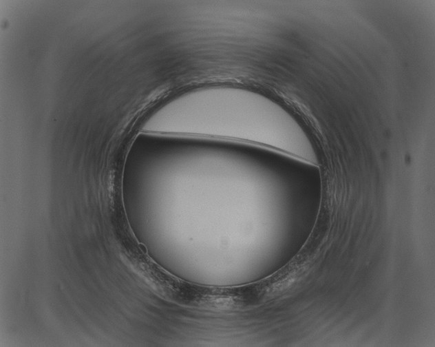 X0000086740260200704130740