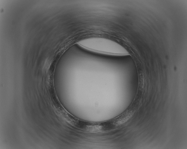 X0000086740266200704130740