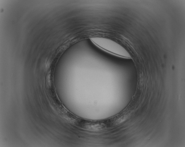 X0000086740267200704130740