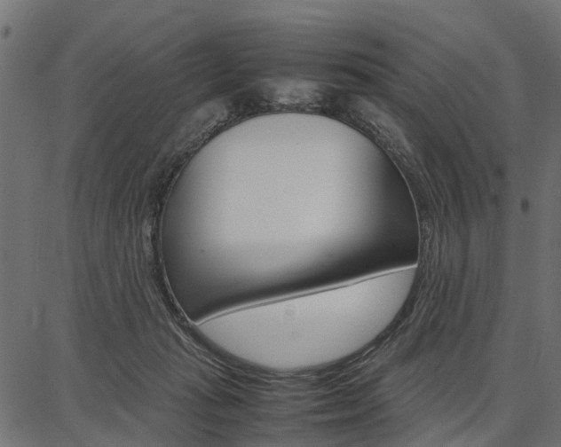 X0000086740269200704130740