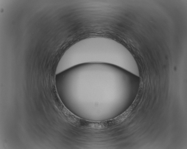 X0000086740272200704130740