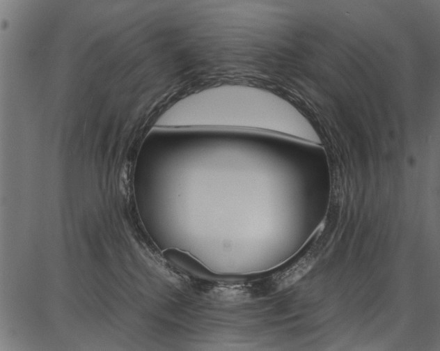 X0000086740280200704130740