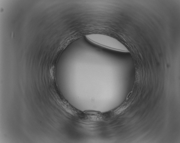 X0000086740286200704130740