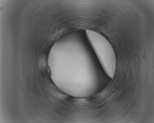 X0000086740287200704130740