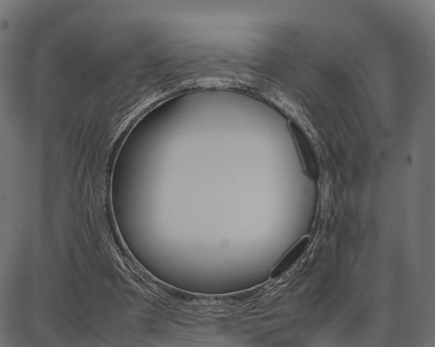 X0000086740297200704130739