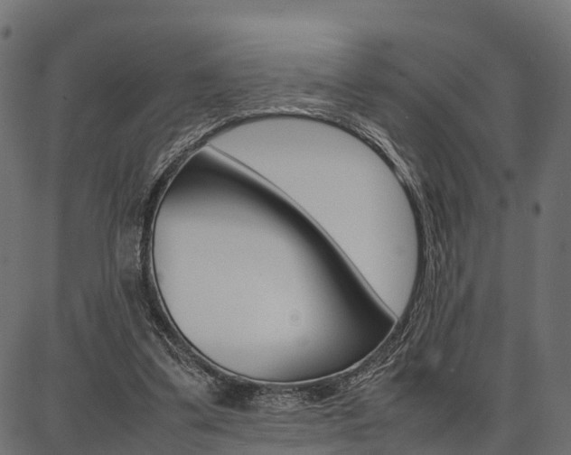 X0000086740299200704130739