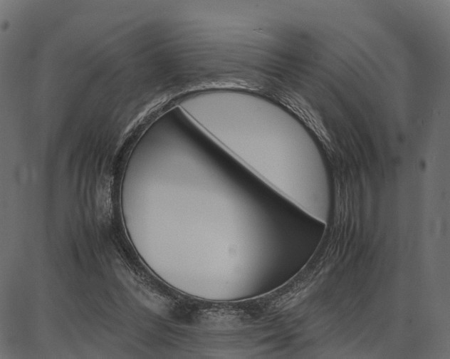 X0000086740300200704130739