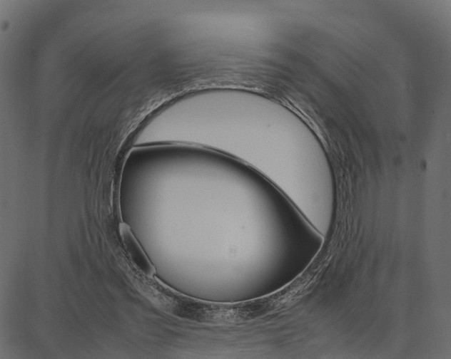 X0000086740301200704130739